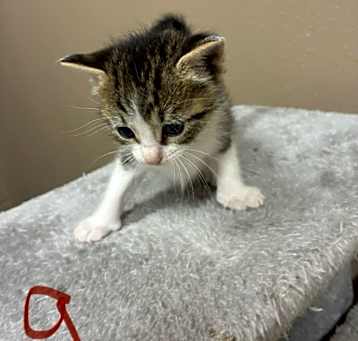 Photo of Freda