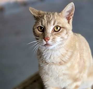 Photo of Graham