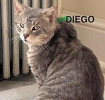 Photo of Diego (25-298)