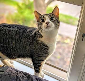 Photo of Luna