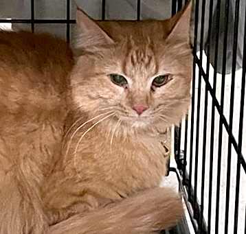 Photo of Star