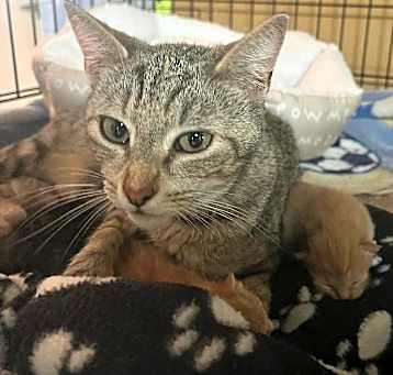 Photo of Little Mama