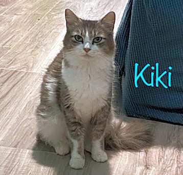 Photo of Kiki