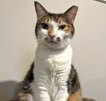 Photo of Skye