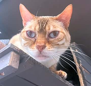 Photo of Kanji