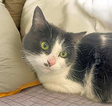 Photo of Miss-E