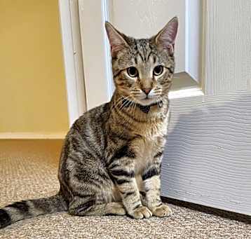 Photo of Mandu