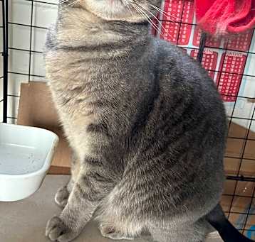Photo of MIMI
