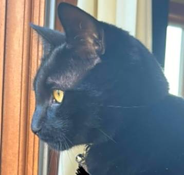 Photo of Roxanne