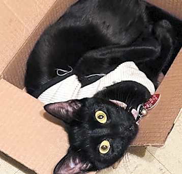 Photo of Misha-Lynn (Mish mish)