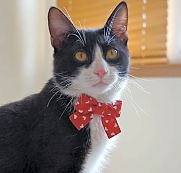 Photo of McGee