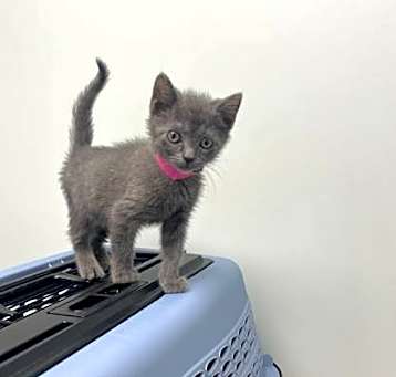 Photo of Mitzi