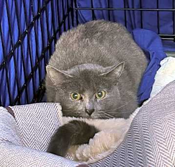 Photo of Kalypso OF89