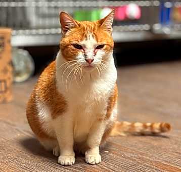 Photo of Rubia