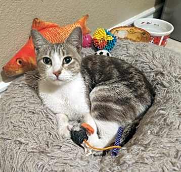 Photo of Lilly