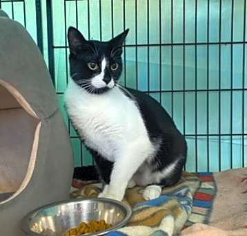 Photo of Ethel