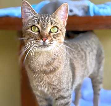 Photo of AGATHA 
