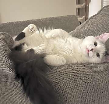 Photo of Polly