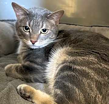 Photo of PeterPiper