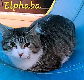 Photo of Elphaba