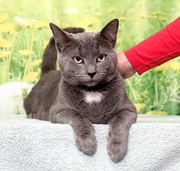 Photo of Smokey Bear