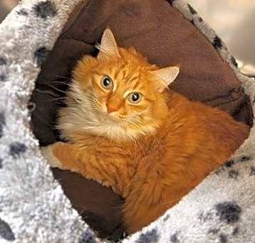 Photo of Locke