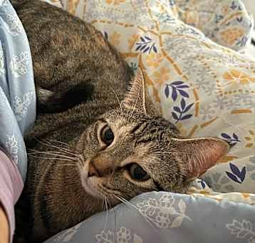 Photo of Kiwi