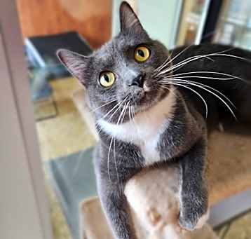 Photo of JUNIOR