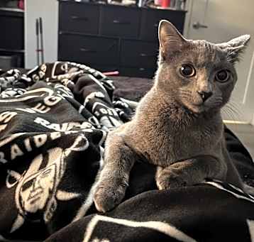 Photo of Penelope