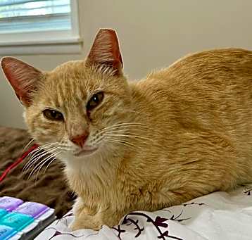 Photo of MELVIN