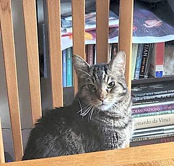Photo of Bob