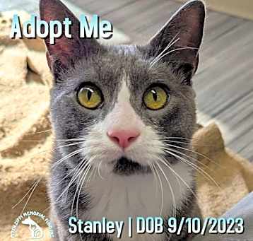Photo of Stanley