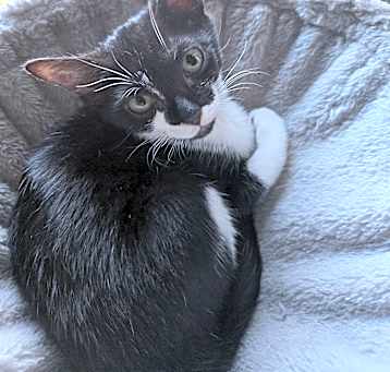 Photo of Luna
