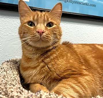 Photo of Big Red
