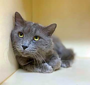 Photo of Smokey~24/25-0322