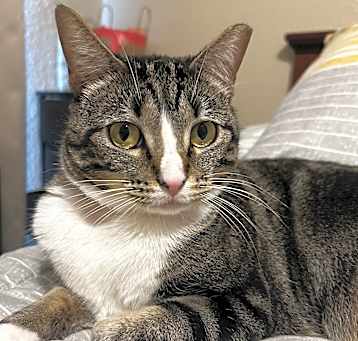 Photo of Molly