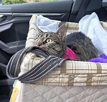 Photo of Penelope