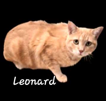 Photo of Leonard #our-soft-loaf