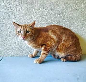 Photo of Butter
