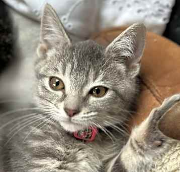 Photo of Monica