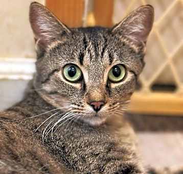 Photo of Mama Honey
