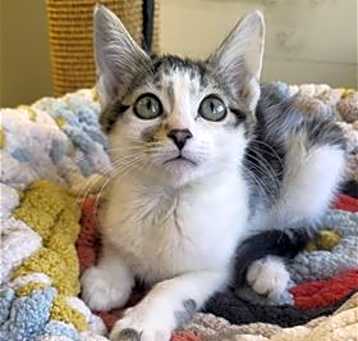 Photo of Sugar