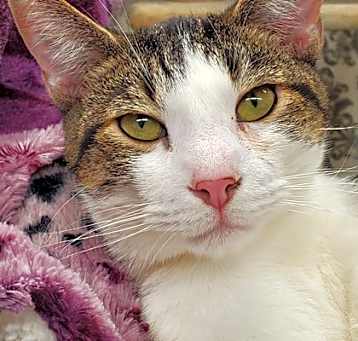 Photo of Alvin