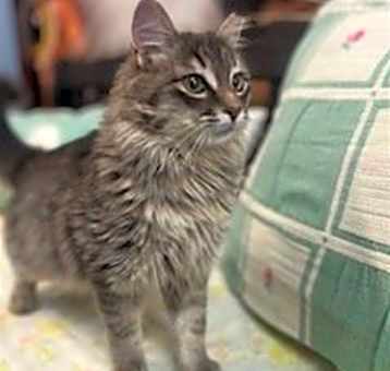 Photo of Lila