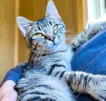 Photo of Frigga