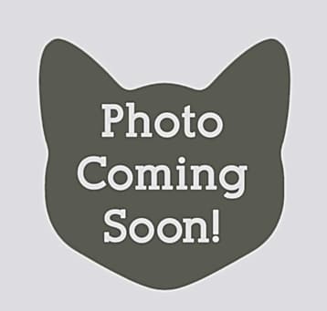 Photo of Ruby