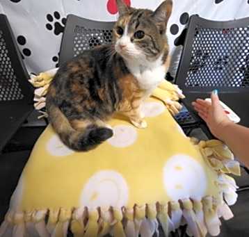 Photo of Spooks