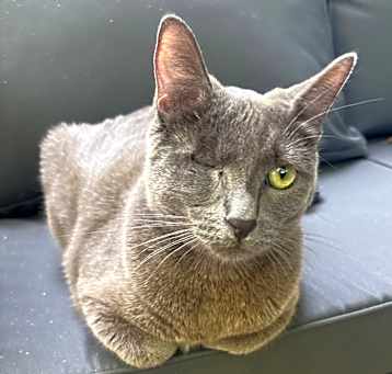 Photo of Ember