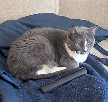 Photo of Riley