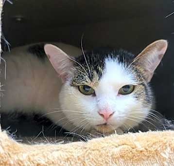 Photo of Wilbur